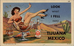 Look What I Fell into in Tijuana Mexico Postcard