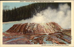 Sponge Geyser Yellowstone National Park, WY Postcard Postcard