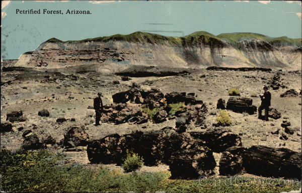 Petrified Forest, Arizona