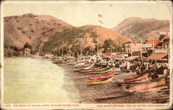 The Beach at Avalon Postcard