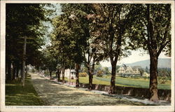 Meredith Road, Centre Larbor Postcard