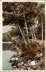 Under the Birches at Alton Bay Postcard