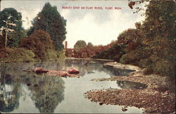 Beauty Spot on Flint River Postcard