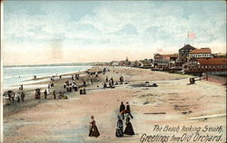 The Beach Looking South Postcard