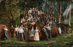 Leisure Hour in a Western Logging Camp Postcard Postcard