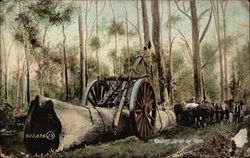 Hauling Jarrah by Team Logging Postcard Postcard