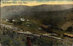 Sheep Ranch, Yakima County Postcard