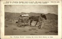 The "Walking Woolfs" Crossing the Green River Desert Utah Postcard Postcard