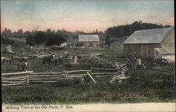 Milking Time at the Old Farm Quebec Canada Postcard Postcard