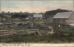 Milking Time at the Old Farm Quebec Canada Postcard Postcard