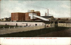 P. Burns and Co. Ltd. Abattoir and Cold Storage Postcard