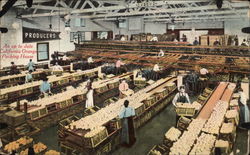 An Up to Date California Orange Packing House Postcard