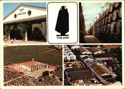 Sandeman Vineyards & Bodegas Postcard