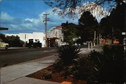 View of Township and Lopdell House Titirangi, New Zealand Postcard Postcard