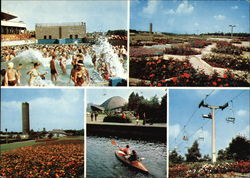 Wojewodzki Park Wypoczynku, Poland Eastern Europe Postcard Postcard