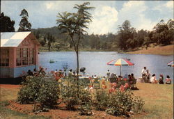 Boating Club Ootacamund, India Postcard Postcard