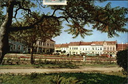 View of Town Postcard