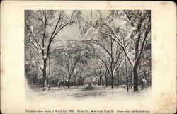 The Great Snow Storm of March 4th, 1906 Columbus, OH Postcard Postcard