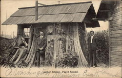 Cedar Stump House Postcard