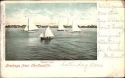 Greetings - Sailing Boats Postcard