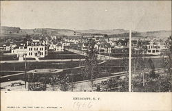 View of Endicott Postcard