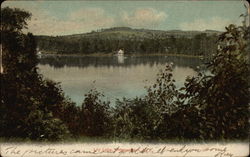 Looking Across Lily Lake Binghamton, NY Postcard Postcard