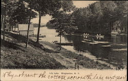 Lily Lake Postcard