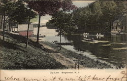 View of Lily Lake Postcard