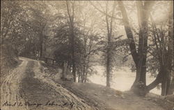 Road to Owago Lake Postcard