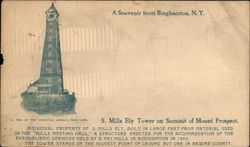 Mills Ely Tower on Summit of Mount Prospect Postcard