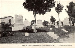 Floral Park Cemetery Binghamton, NY Postcard Postcard