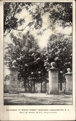 Entrance to Spring Forest Cemetery Postcard