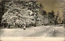 Winter Scene Binghamton, NY Postcard Postcard