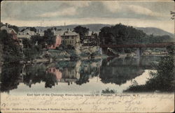 East Bank of Chenango River looking towards Mt. Prospect Binghamton, NY Postcard Postcard