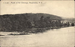 Mouth of the Chenango Binghamton, NY Postcard Postcard