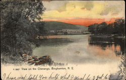 View on the Chenango Binghamton, NY Postcard Postcard