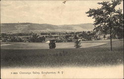 Chenango Valley Binghamton, NY Postcard Postcard