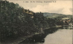 On the Chenango Binghamton, NY Postcard Postcard