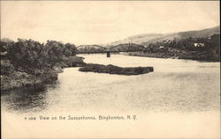 View of the Susquehanna Binghamton, NY Postcard Postcard