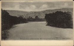 Down The Chenango Postcard