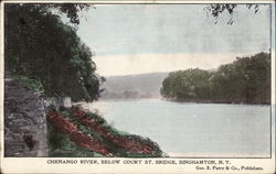 Chenango River below Court Street Bridge Postcard