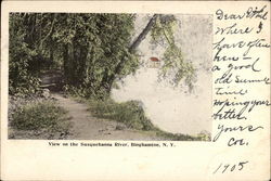 View on the Susquehanna River Binghamton, NY Postcard Postcard