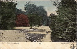 Along the Susquehanna Postcard