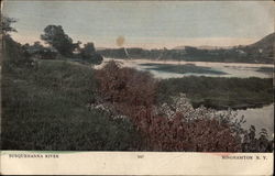 View of Susquehanna River Binghamton, NY Postcard Postcard