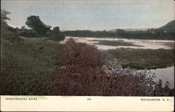 View of the Susquehanna River Postcard