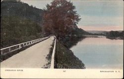 Chenango River Postcard