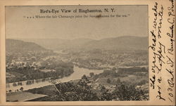 Bird's-Eye View of City Binghamton, NY Postcard Postcard