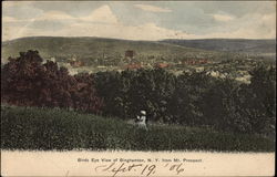 Birds Eye View of Town from Mt. Prospect Postcard