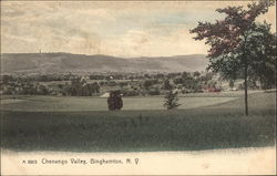 View of Chenango Valley Binghamton, NY Postcard Postcard