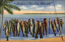 Fishin's Good in Florida Fishing Postcard Postcard